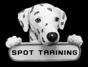 the only type of "spot training" that exists is on dalmations ;) 