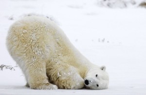 fear16