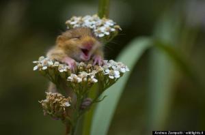 o-HAPPY-FACES-570