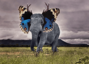 theblueelephant