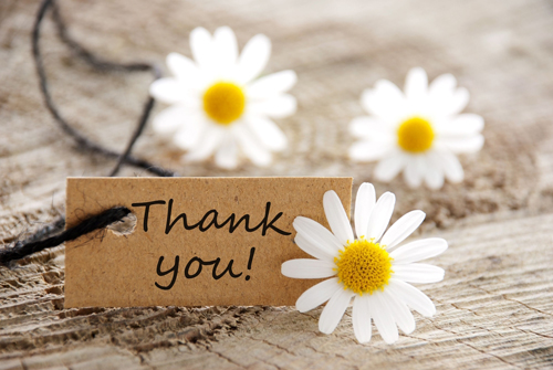 The Gratitude Experiment: Week 2