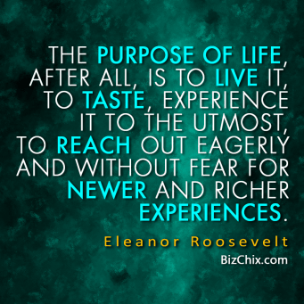 the-purpose-of-life-afterall