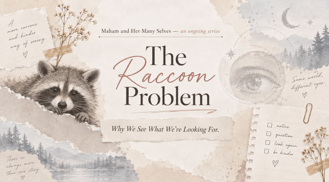 The Raccoon Problem